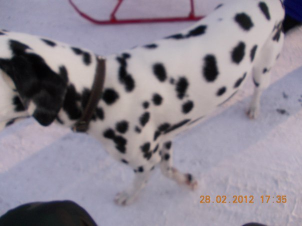 №16, Надежда Печкурова №16, Надежда Печкурова