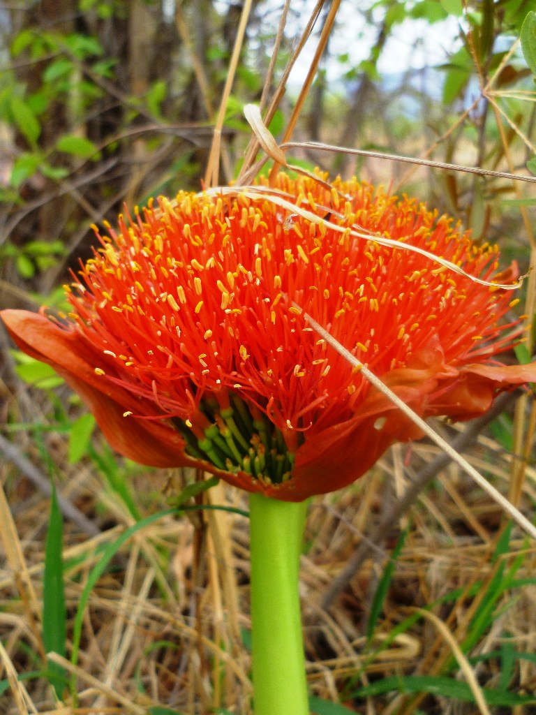 Анна Владимирова | Санкт-Петербург