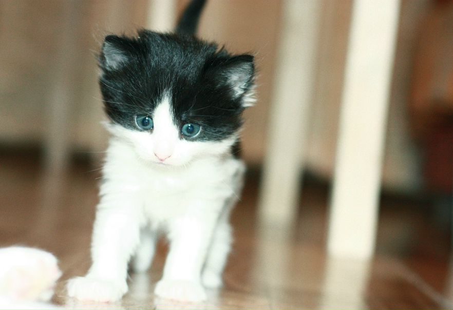 №49, Алёна Крылова №49, Алёна Крылова