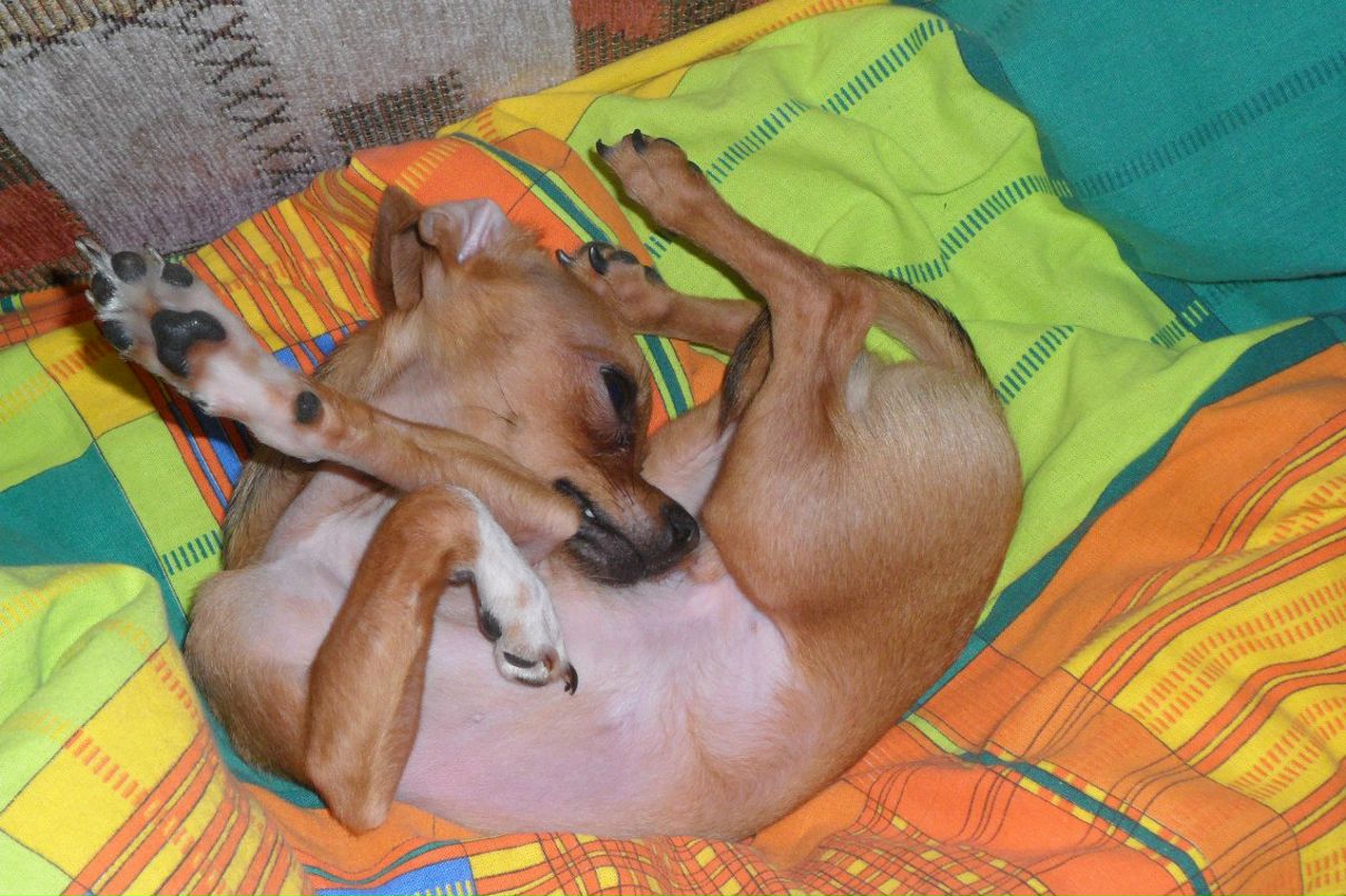 Диначка Дюкова ♥ °°••°°•ВрЕ-дИнКа•°°••°°♥ | Москва