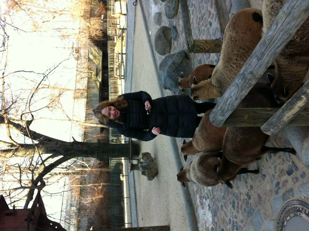 Дария Волынская | 