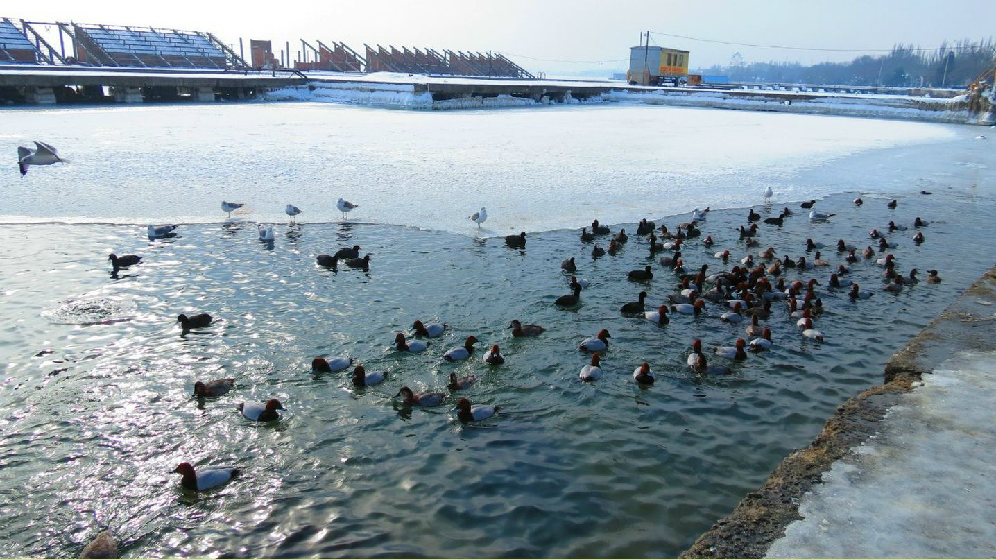 Андрей Разимович | Керчь