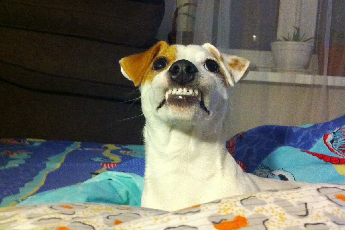 Татьяна Зыкова | Москва