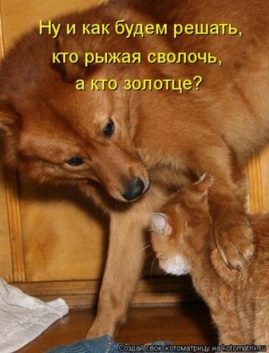 Татьяна Орлова | Санкт-Петербург