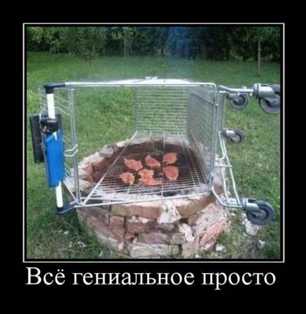 Анна Шустак | 