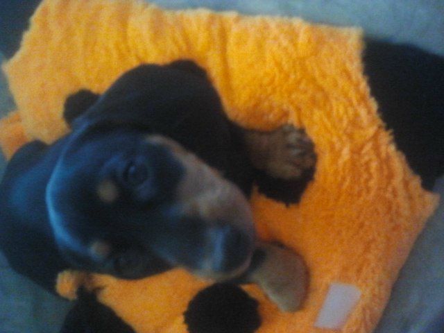 №17, Ариша Иевская, 34 года, Южно-Сахалинск №17, Ариша Иевская, 34 года, Южно-Сахалинск