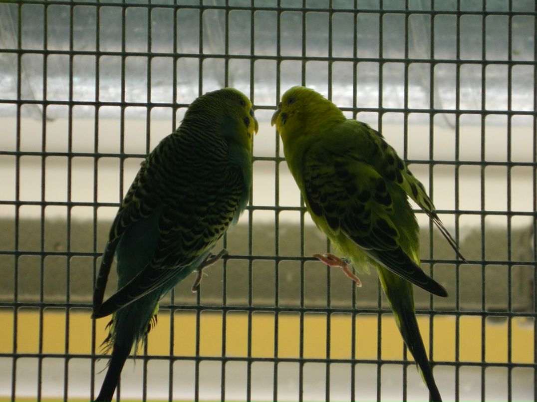 Олеся Солнышкина | Красноярск