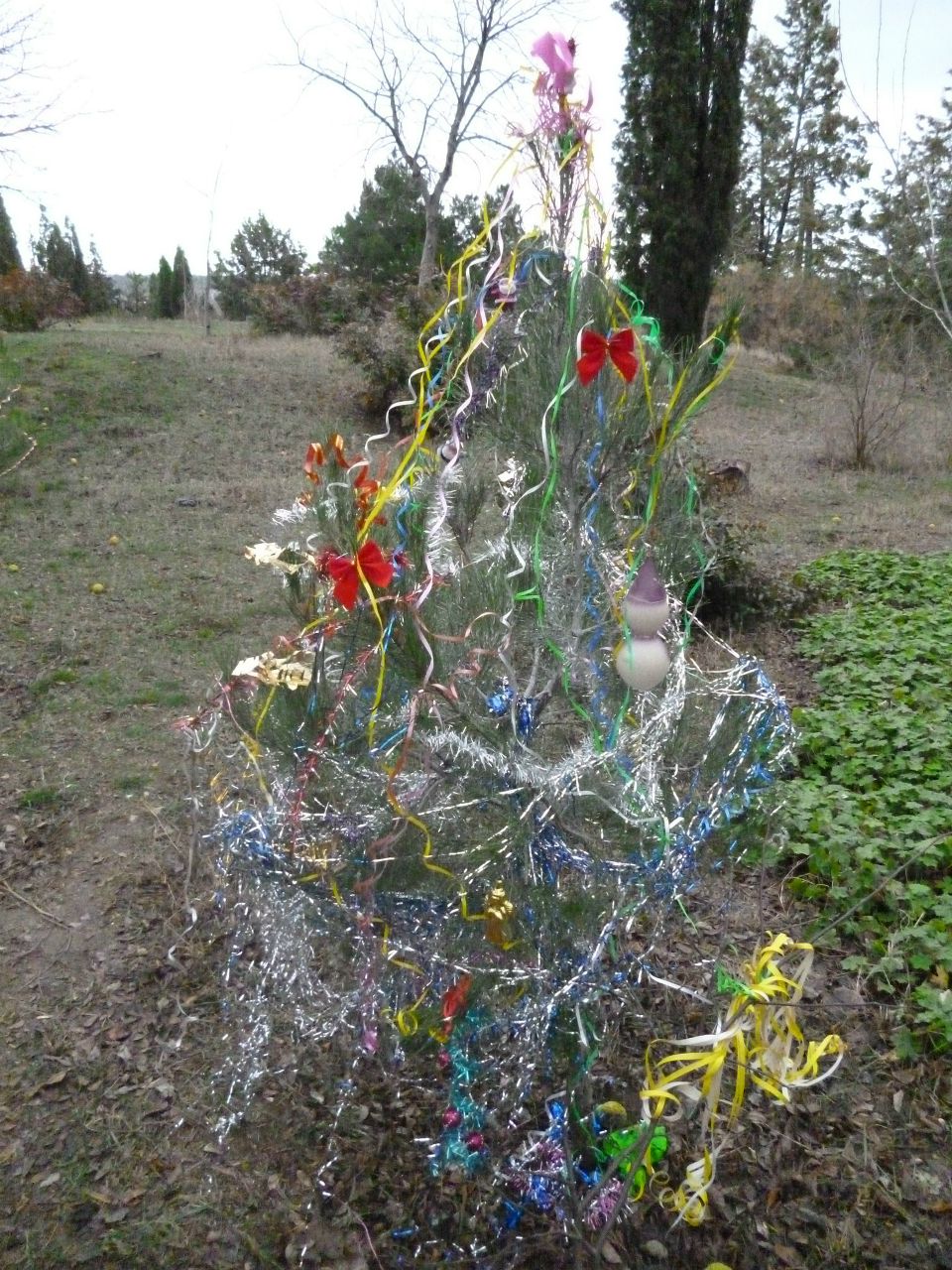 Юлия Чернякова | Севастополь