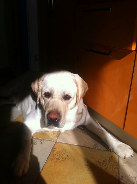 №55, Роксана Боровик, Санкт-Петербург №55, Роксана Боровик, Санкт-Петербург