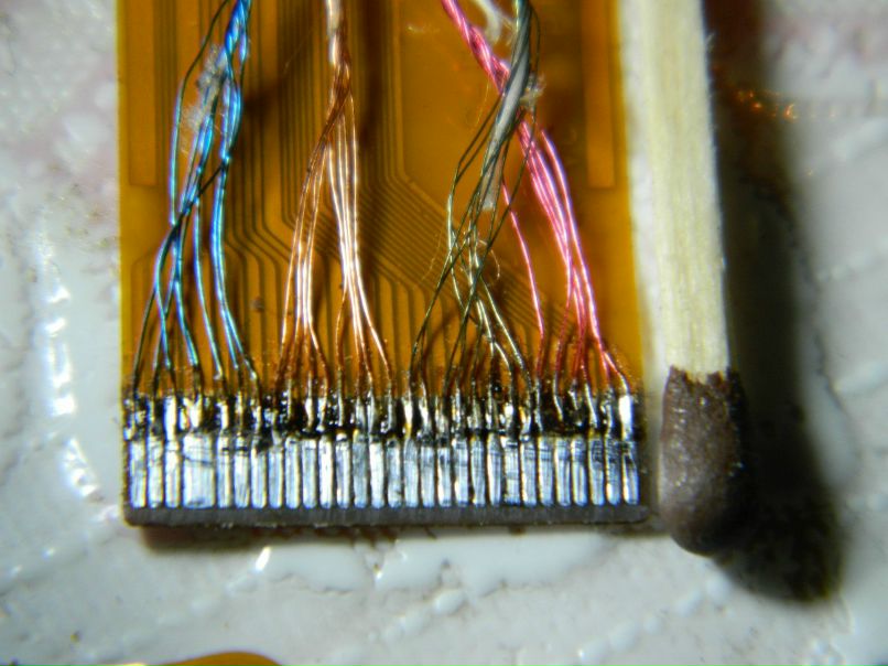 Сергей Скутте | Санкт-Петербург