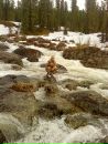 Фотография Константин Прокопенко