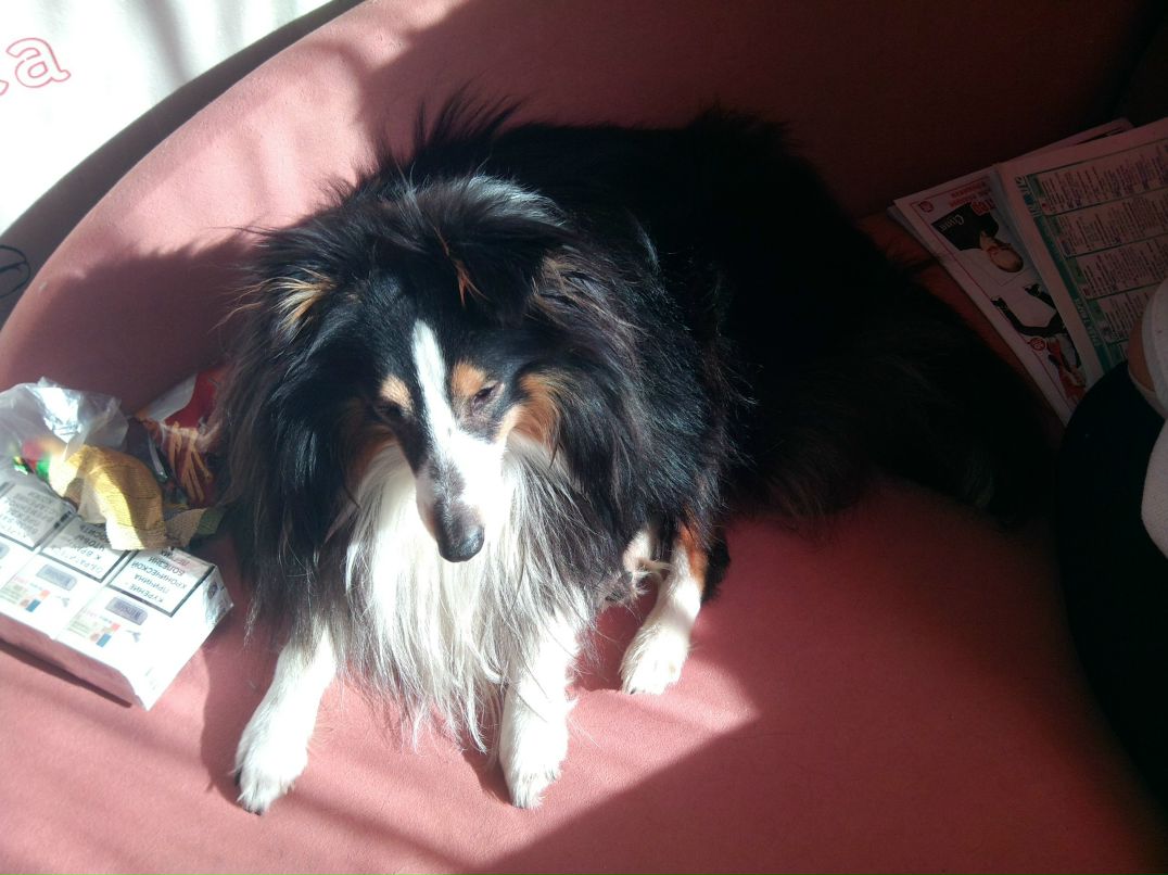 Наталия Степанова <<<Steepka>>> | Москва