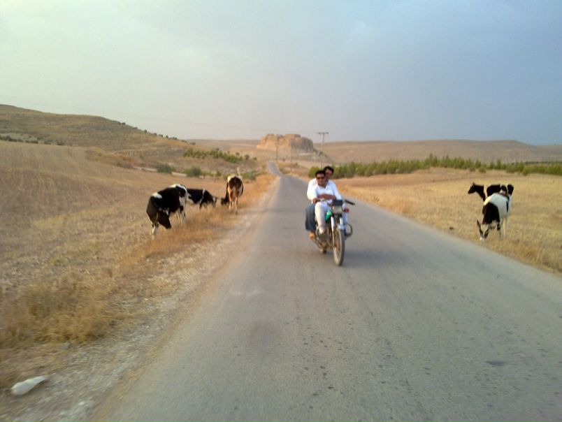 №92, Issa Hsino, Сумы №92, Issa Hsino, Сумы