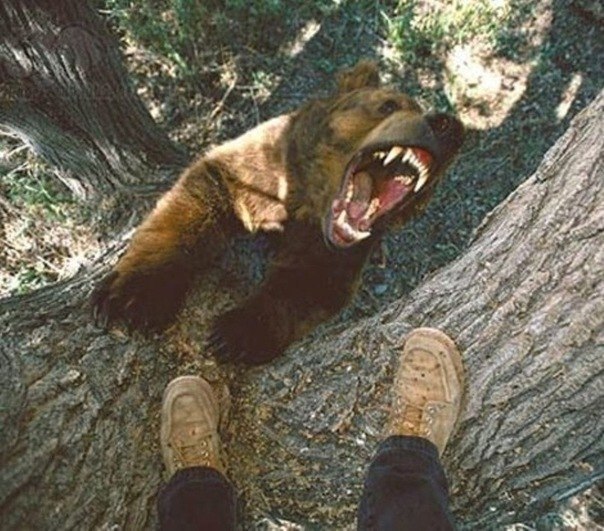 Александр Крунин | Москва