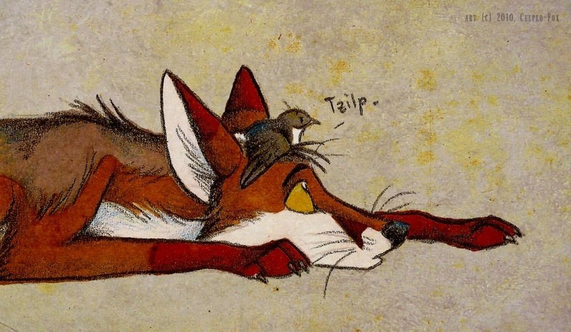 Оля Бодиловская | Гомель