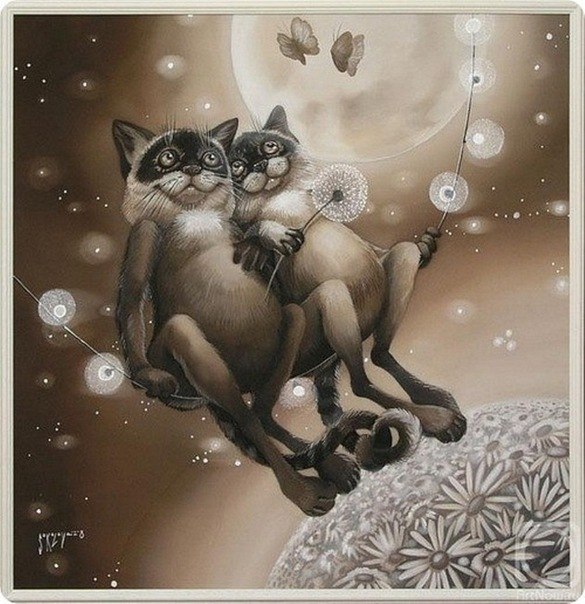 Наталья Нехаенко | Санкт-Петербург