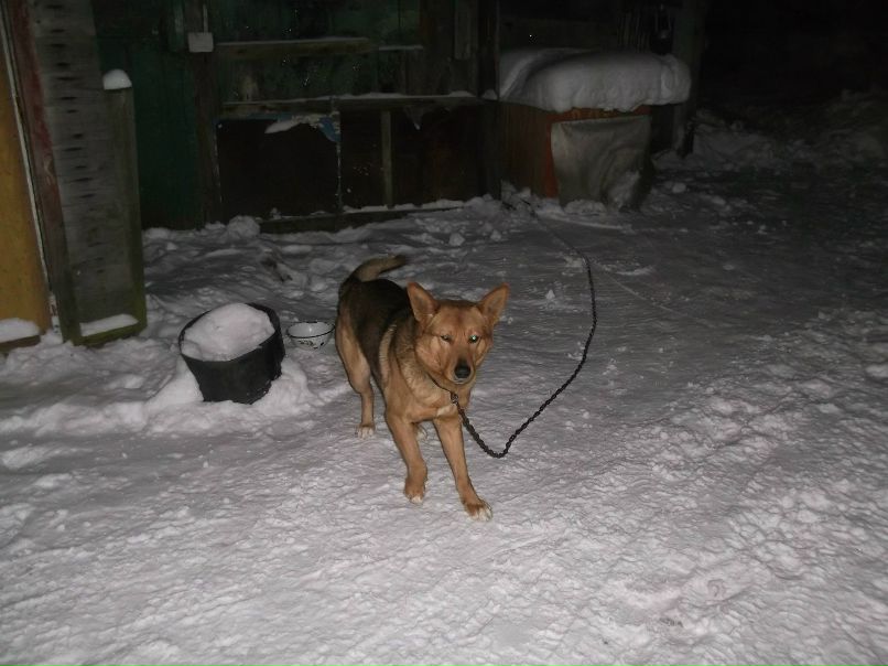 Макс Малюго злобный S.T.A.L.K.E.R. | Санкт-Петербург