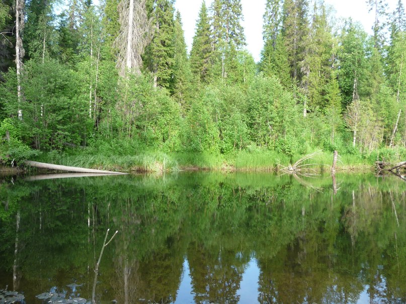 Сергей Мазин | Архангельск
