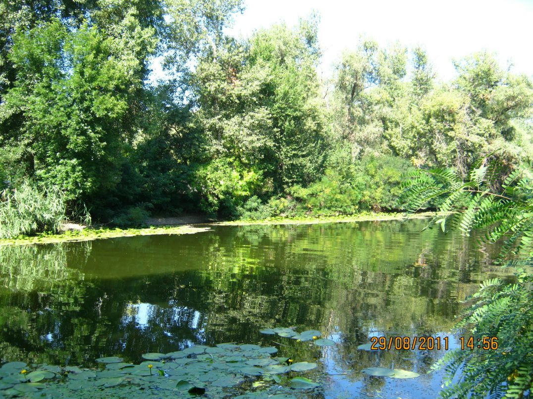 Ирина Емцева | Запорожье