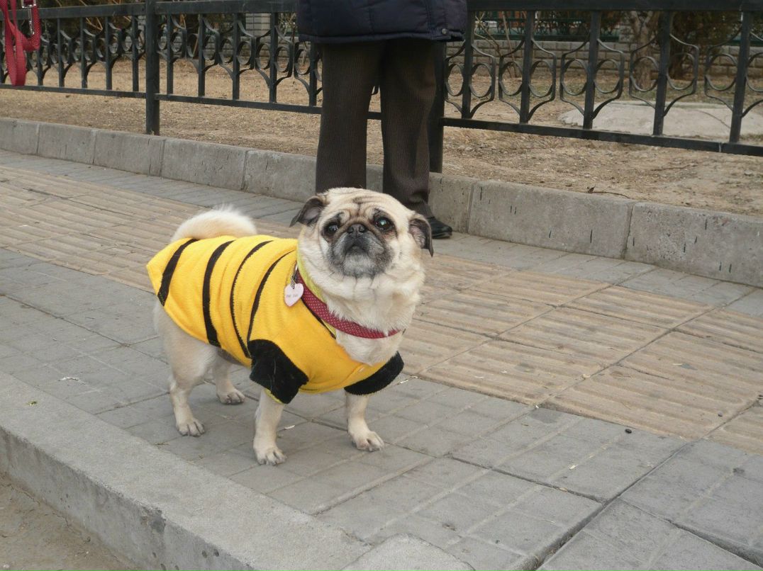 Дмитрий Иванов | Санкт-Петербург