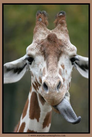 Алексей Казаков | Казань