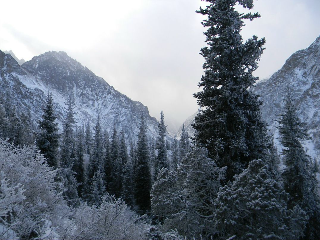 Паша Цветов | 