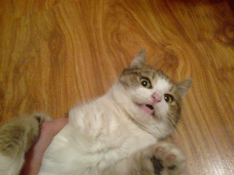 Марина Самборская | Wien