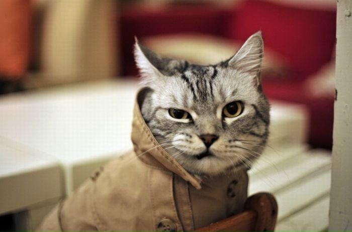 №3, Павел Пономарёв, 36 лет, Электросталь №3, Павел Пономарёв, 36 лет, Электросталь