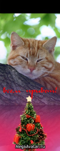 №91, Дмитрий Строканов, Киев №91, Дмитрий Строканов, Киев