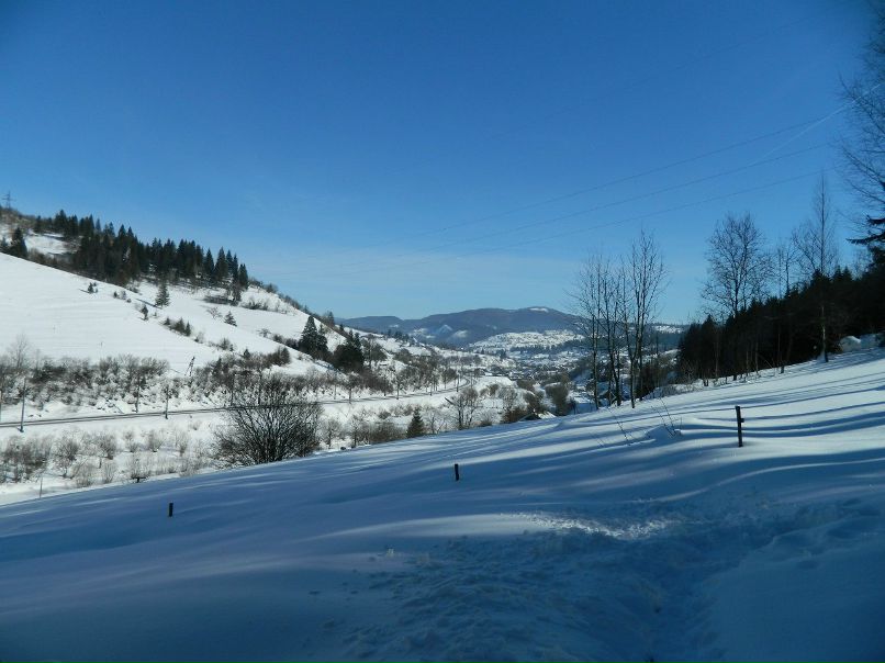 Роман Плахтина | Львов