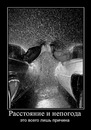 Фотография Даниловой Екатерины