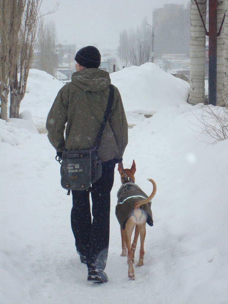 Юрий Шилов | Саратов