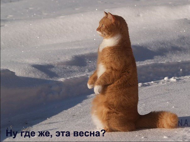 Александр Кузьменко | Омск