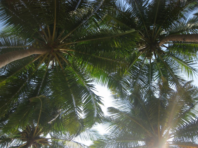 Артем Кирин | Красноярск