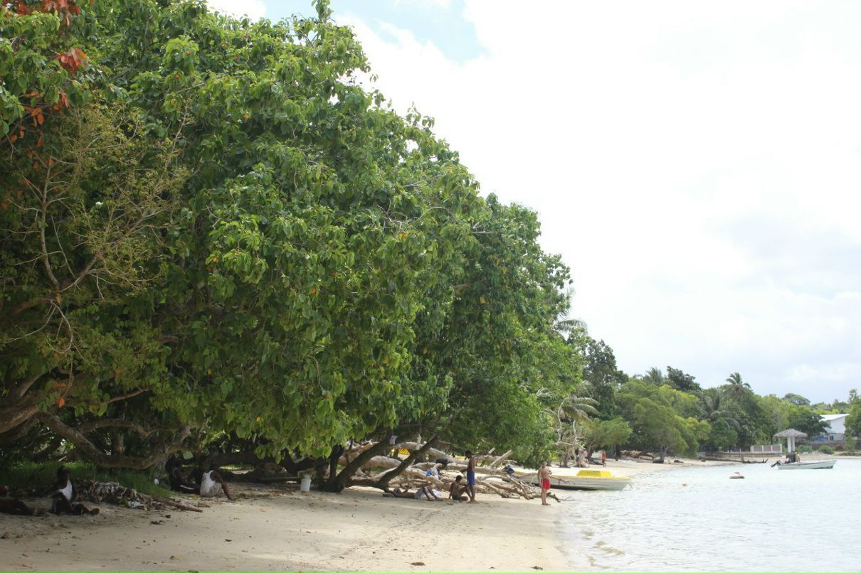 Наталия Stronger | Киев