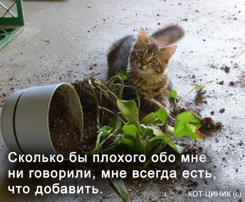 Анна Андреева | Москва