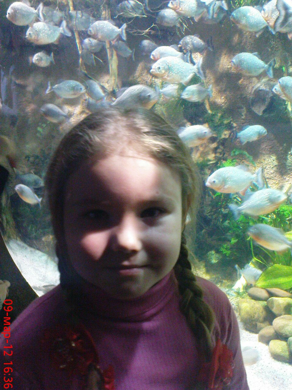 Константин Мигачев | Санкт-Петербург