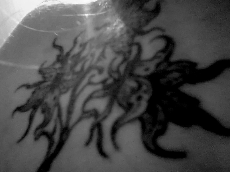 Светка Кагарлыкская | 