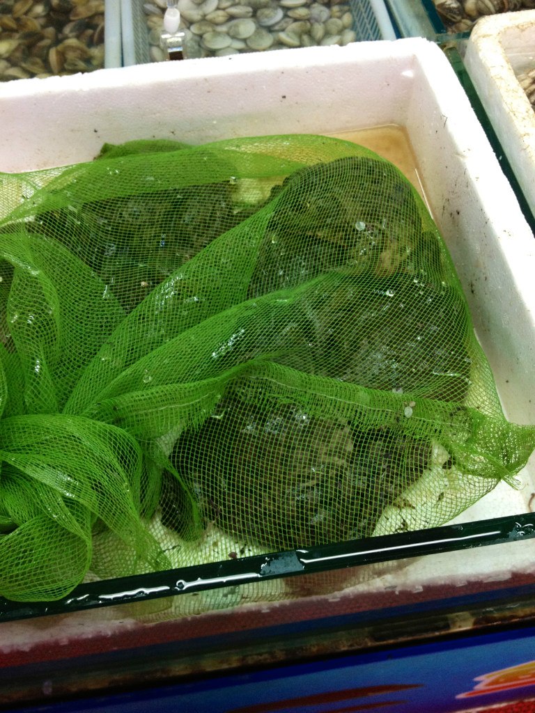 Ксения Максимова | Санкт-Петербург