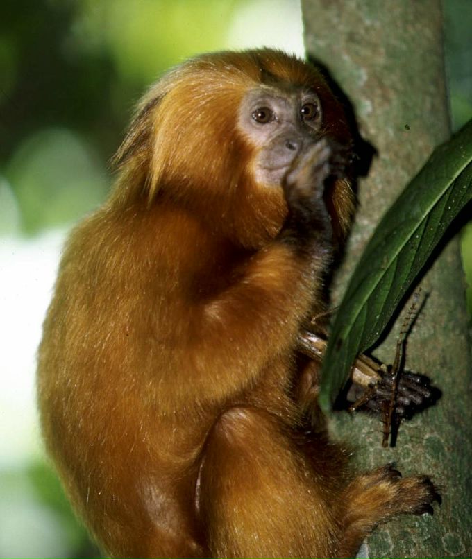 Лиля Брусникова | Судак