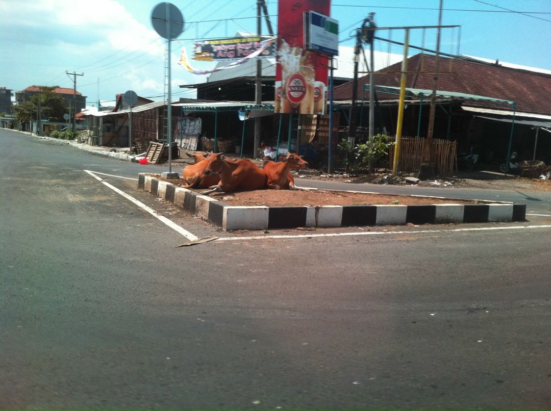 Мария Тарковская Сергеевна | Новосибирск