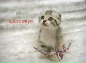№7 Анастасия Карлова : профиль, фото, статус - ВКонтакте
