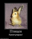Фотография Семеновой Анастасии