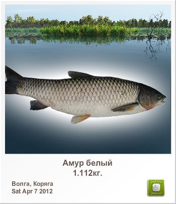 Эльвира Мельникова | Юрмала