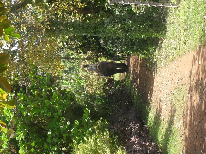 Алла Корнева | Нижний Новгород