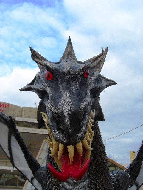 Александра Бершадская | Киев