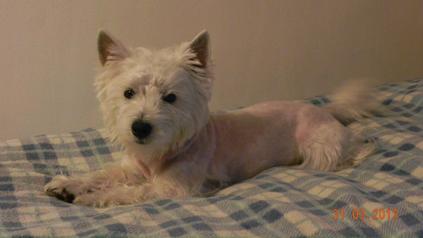 Ярослав Касьянов | Екатеринбург