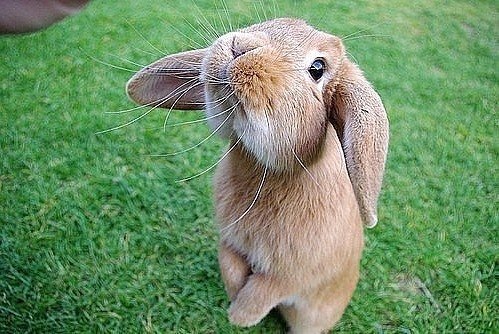 Иришка Вьюшина | Вологда