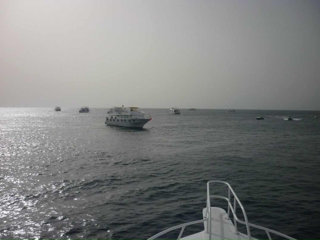 Вадим Подшивалов | Санкт-Петербург