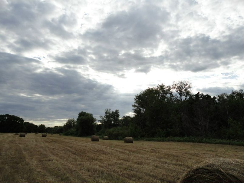 Анастасия Усанова | Москва